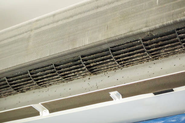 Best Professional Duct Cleaning Services  in Snyder, TX